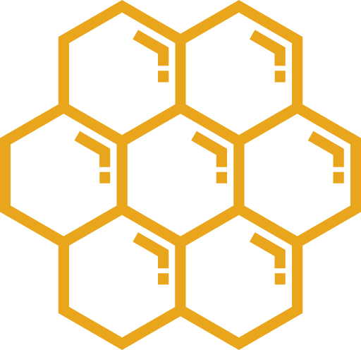 A frame of honeycomb filled with honey, pollen and brood at the Hānai Hives apiary