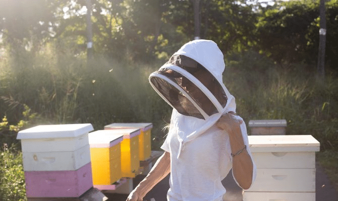 A guest suited up on the Hānai Hives bee farm tour on Oʻahu